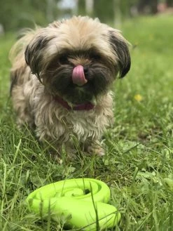 Trixie Snacksorm 18 Cm 7 Trixie Snacksorm 18 Cm -TRIXIE kauppa trixie snacksorm hopringlad 18 cm 2